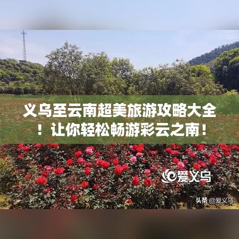 义乌至云南超美旅游攻略大全！让你轻松畅游彩云之南！