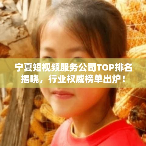 宁夏短视频服务公司TOP排名揭晓，行业权威榜单出炉！