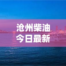 沧州柴油今日最新价格动态曝光！