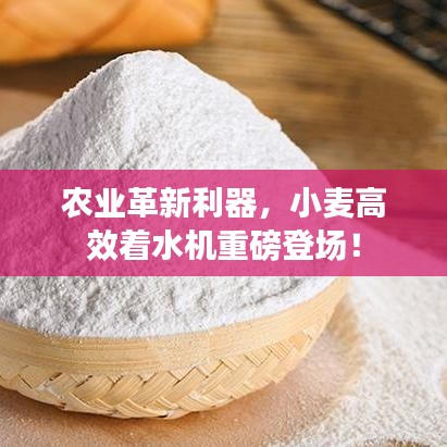 农业革新利器，小麦高效着水机重磅登场！