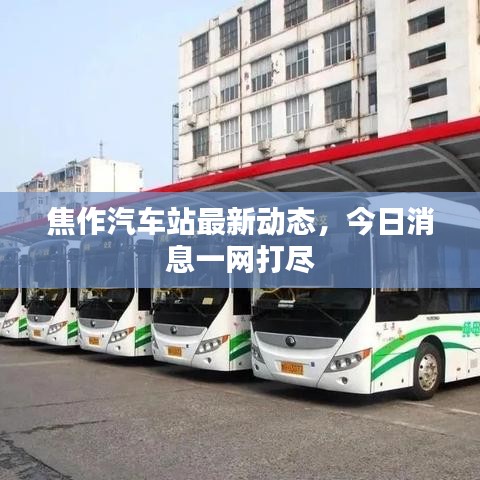 焦作汽车站最新动态，今日消息一网打尽