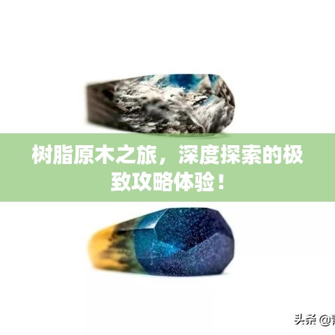 树脂原木之旅，深度探索的极致攻略体验！