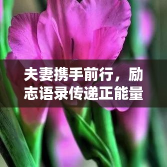 夫妻携手前行，励志语录传递正能量力量
