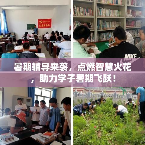 暑期辅导来袭，点燃智慧火花，助力学子暑期飞跃！