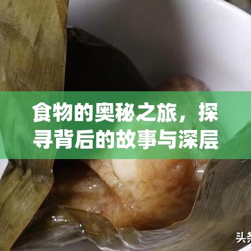 食物的奥秘之旅，探寻背后的故事与深层意义
