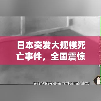 日本突发大规模死亡事件，全国震惊！