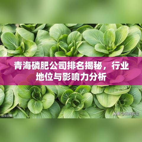 青海磷肥公司排名揭秘，行业地位与影响力分析