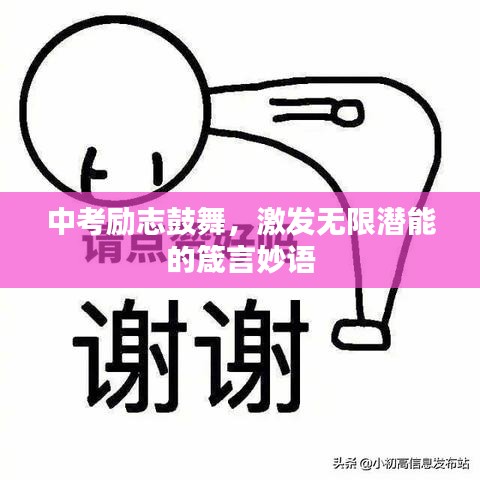 中考励志鼓舞，激发无限潜能的箴言妙语