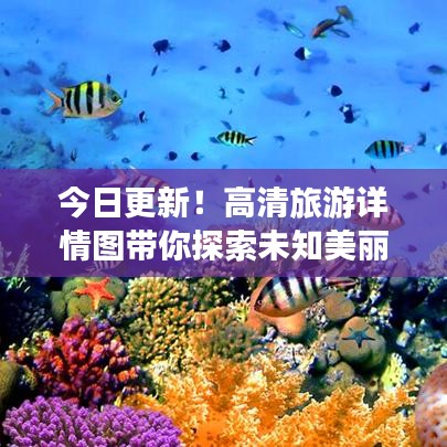 今日更新！高清旅游详情图带你探索未知美丽世界