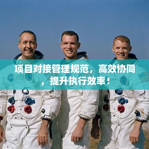 项目对接管理规范，高效协同，提升执行效率！