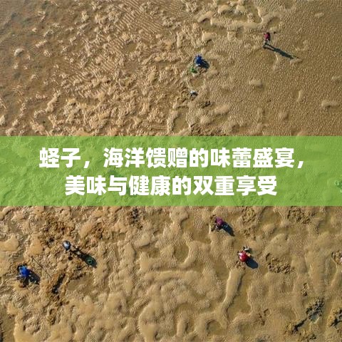 蛏子，海洋馈赠的味蕾盛宴，美味与健康的双重享受