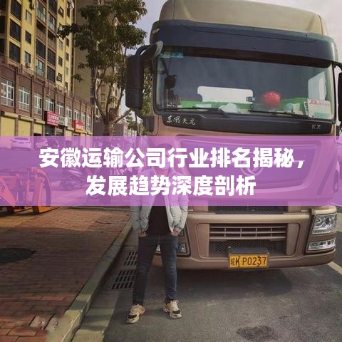 安徽运输公司行业排名揭秘，发展趋势深度剖析
