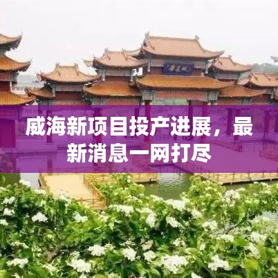 威海新项目投产进展，最新消息一网打尽