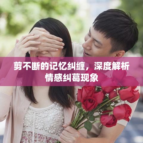 剪不断的记忆纠缠，深度解析情感纠葛现象