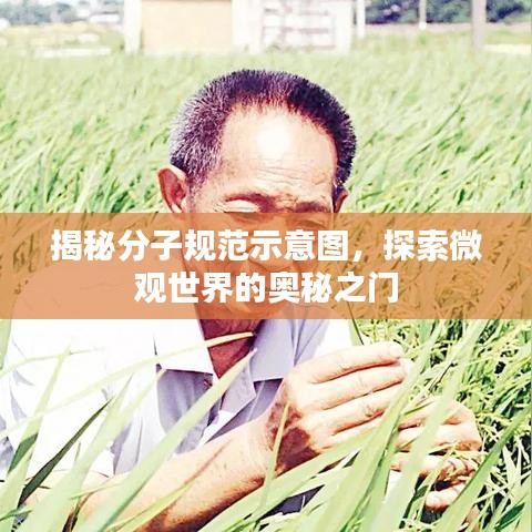 揭秘分子规范示意图，探索微观世界的奥秘之门