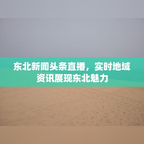 东北新闻头条直播，实时地域资讯展现东北魅力