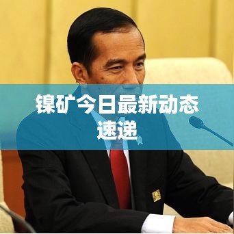 镍矿今日最新动态速递