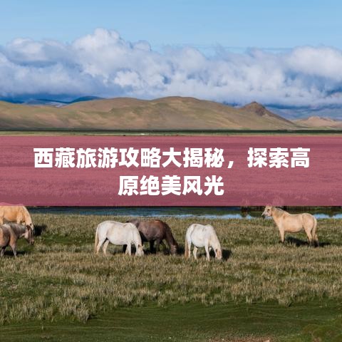 西藏旅游攻略大揭秘，探索高原绝美风光