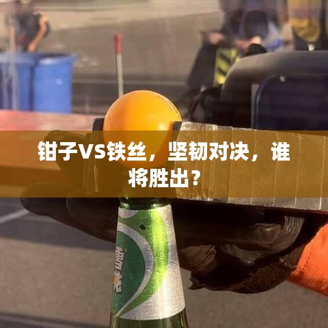 一石二鸟