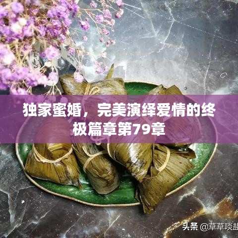 独家蜜婚，完美演绎爱情的终极篇章第79章