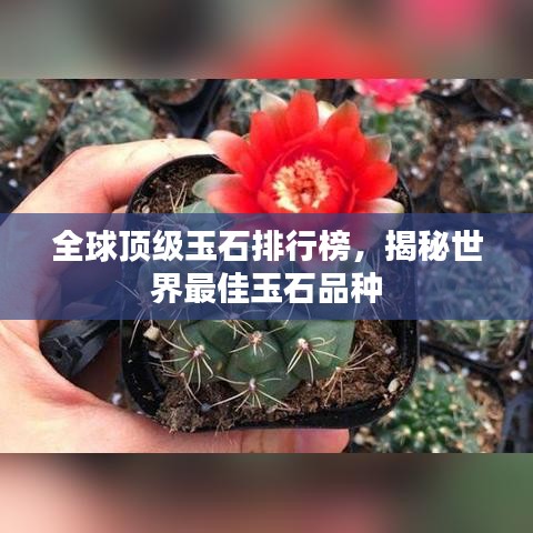 全球顶级玉石排行榜，揭秘世界最佳玉石品种