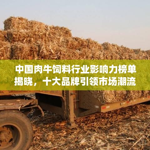 中国肉牛饲料行业影响力榜单揭晓，十大品牌引领市场潮流