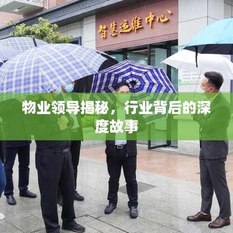 物业领导揭秘，行业背后的深度故事