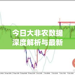 今日大非农数据深度解析与最新趋势观察