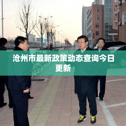 沧州市最新政策动态查询今日更新