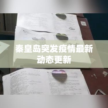 秦皇岛突发疫情最新动态更新
