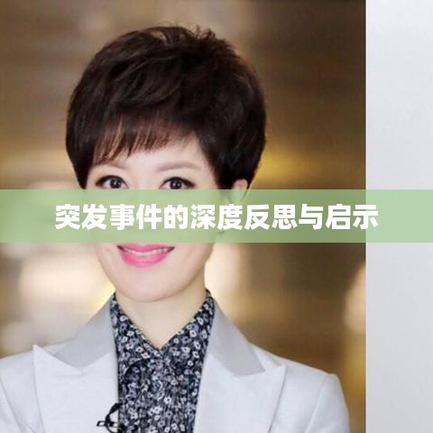 突发事件的深度反思与启示
