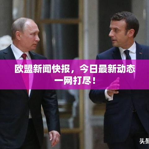 欧盟新闻快报，今日最新动态一网打尽！