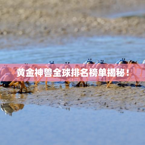 黄金神兽全球排名榜单揭秘！