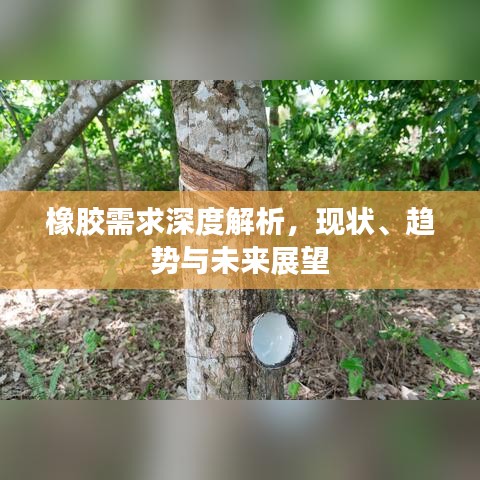 橡胶需求深度解析，现状、趋势与未来展望