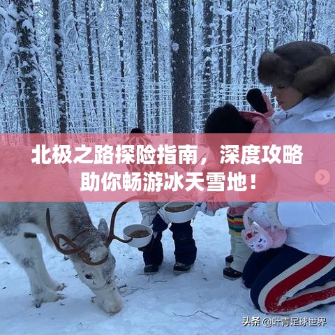 北极之路探险指南，深度攻略助你畅游冰天雪地！