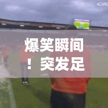 爆笑瞬间！突发足球视频引爆全网热议