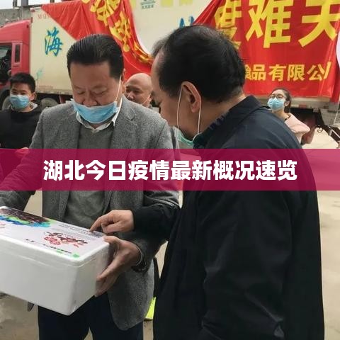 湖北今日疫情最新概况速览