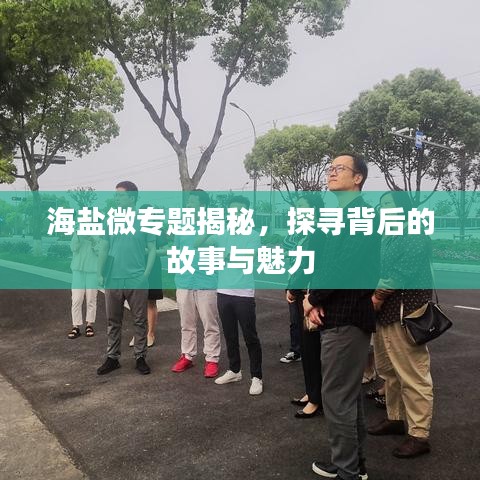 海盐微专题揭秘，探寻背后的故事与魅力