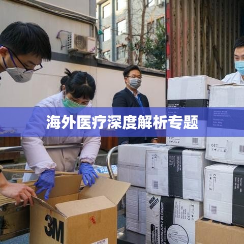 海外医疗深度解析专题