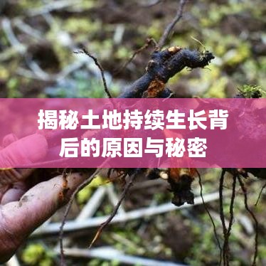 揭秘土地持续生长背后的原因与秘密
