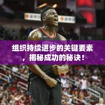 组织持续进步的关键要素，揭秘成功的秘诀！