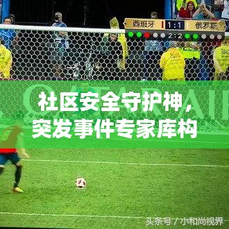 社区安全守护神，突发事件专家库构建智慧防线