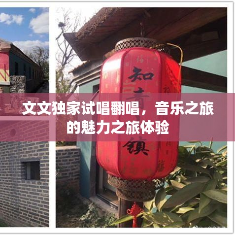 寒蝉僵鸟