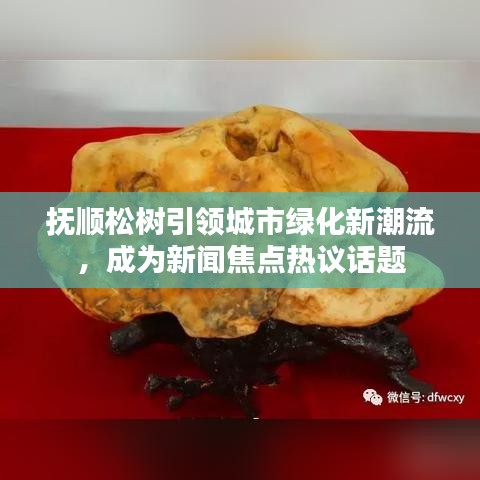 抚顺松树引领城市绿化新潮流，成为新闻焦点热议话题