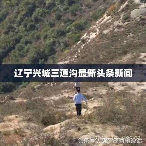 辽宁兴城三道沟最新头条新闻
