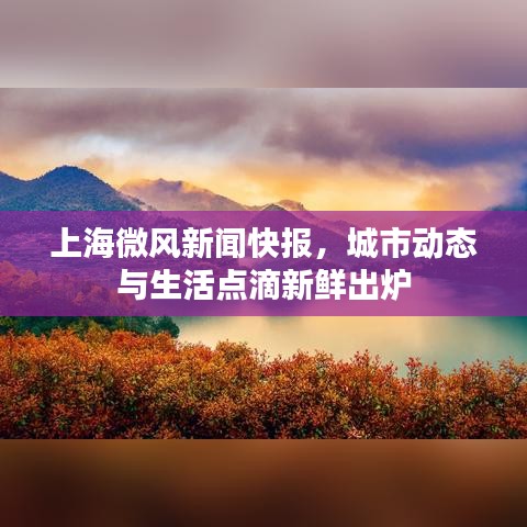 上海微风新闻快报，城市动态与生活点滴新鲜出炉