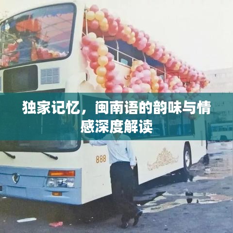 独家记忆，闽南语的韵味与情感深度解读