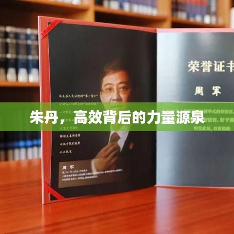 朱丹，高效背后的力量源泉