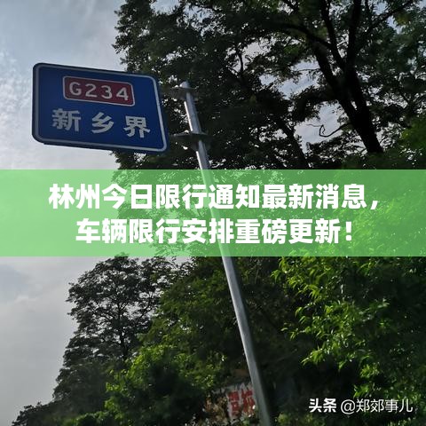 林州今日限行通知最新消息，车辆限行安排重磅更新！