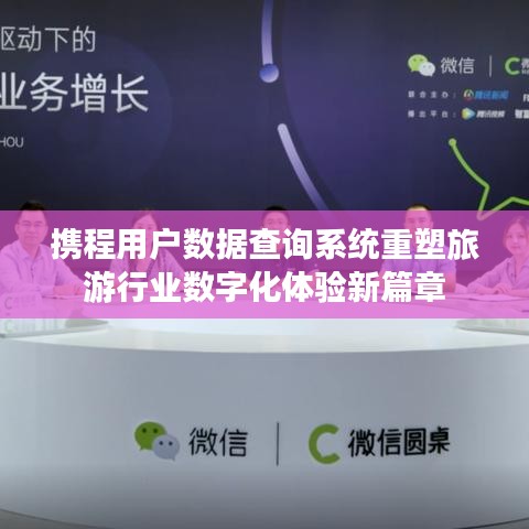 携程用户数据查询系统重塑旅游行业数字化体验新篇章